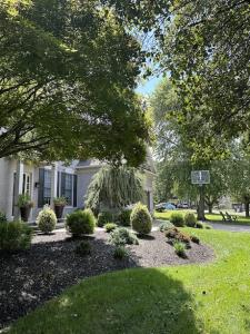 front lawn