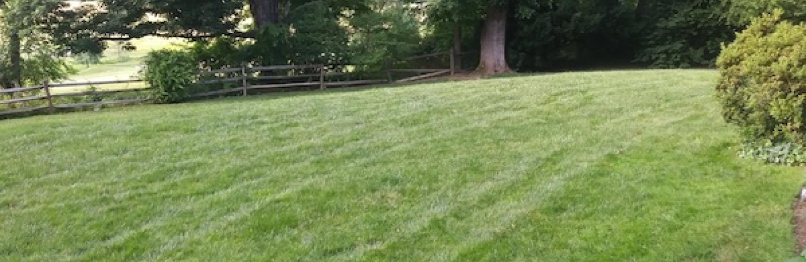 lawn