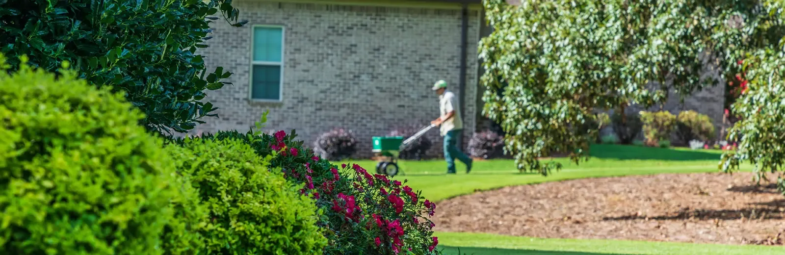 lawn tech spreading seed on lawn