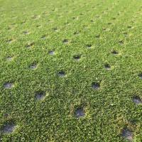 core aeration plugs