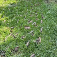 Aeration