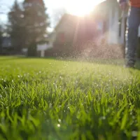 technician spraying a green lawn for weed control