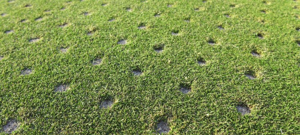 core aeration plugs