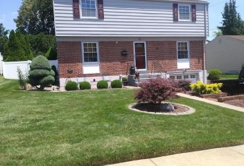 Lawn