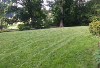lawn