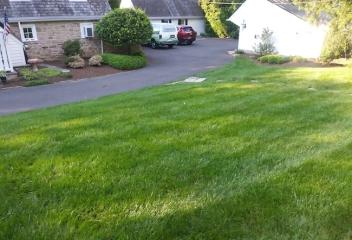 front lawn