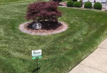 green grass with a circular flower bed 