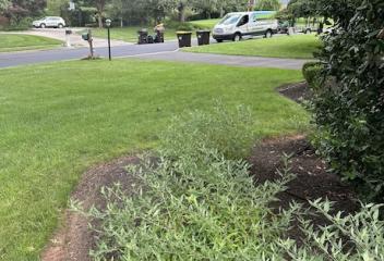 Lawn