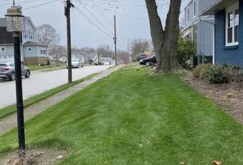 Lawn