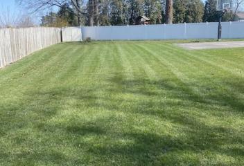 Lawn