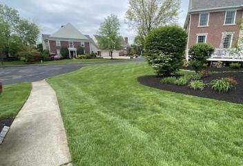 Lawn