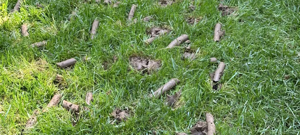 Aeration