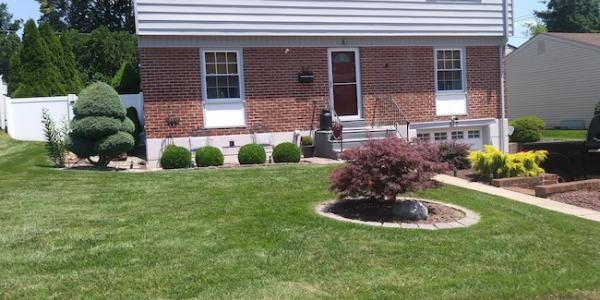 Lawn